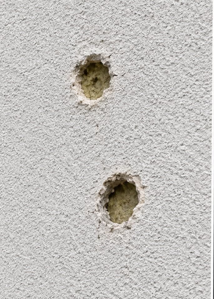 Spechtlöcher in der Fassadenisolation eines Wohnhauses